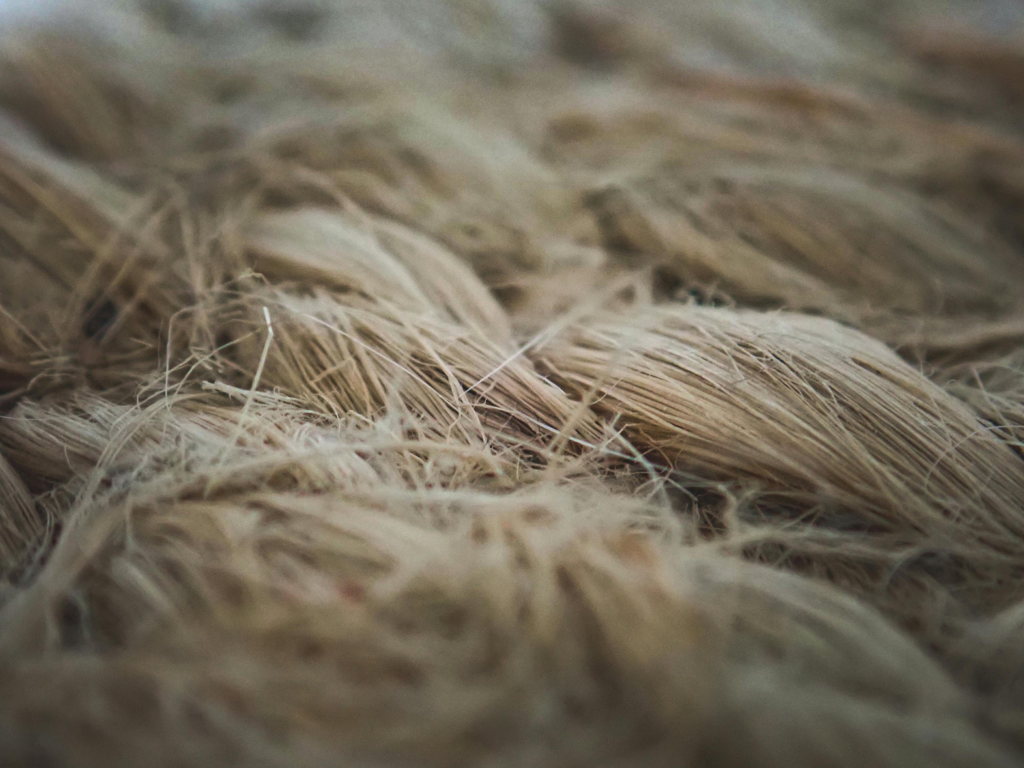 Viscose: The Fabric That Dances with Light, Ready to Be Reborn in Your Hands