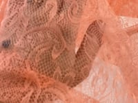 apricot life tacktacktack　chemical lace Peach Thin Lace – EVA re-source