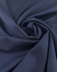 Blue Cotton Jersey