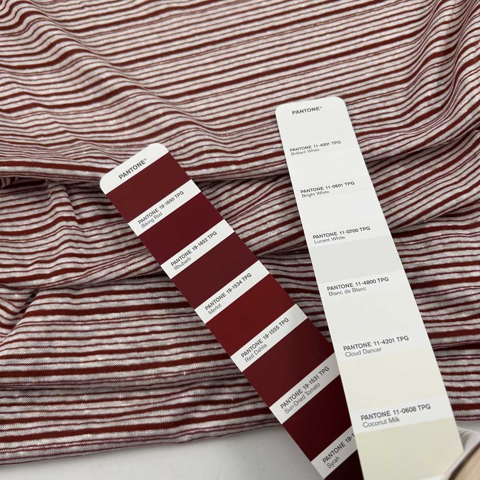 Striped Linen Jersey