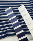 Multicolored Striped Cashmere And Silk Blend Light Jersey