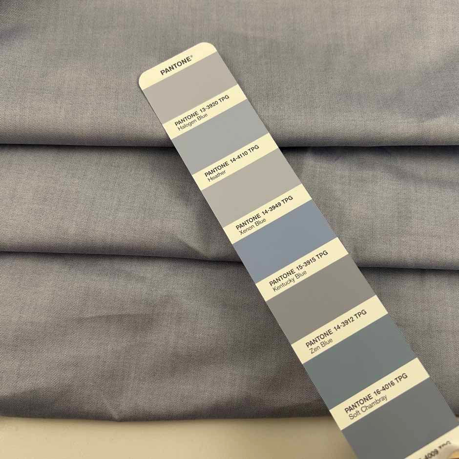 Blue And White Iridescent Cotton Oxford
